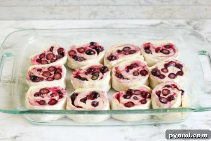 Huckleberry Delights 10 Freshly baked huckleberry sweet rolls, with a rich glaze and fresh huckleberries, ready to be served as a delightful fresh fruit recipe.