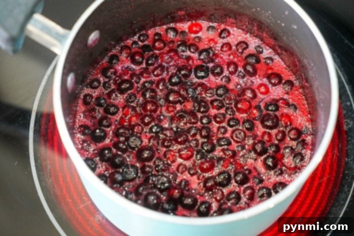 Huckleberry Bliss 5 jam with chia seeds