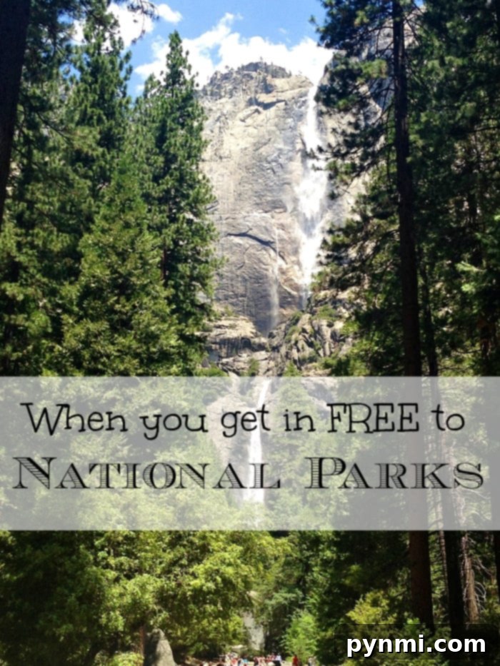 Discover free admission opportunities for National Parks this year! Explore the schedule for fee-free days and learn how your family can get a complimentary pass to visit all parks. #FreeNationalParks #EveryKidOutdoors #FamilyTravel #BudgetVacation #RoadTripIdeas A stunning waterfall cascades into a serene pool, surrounded by vibrant green foliage and towering trees. A winding path invites visitors to explore the natural beauty. Text overlay highlights 'Enjoy free admission to national parks.'