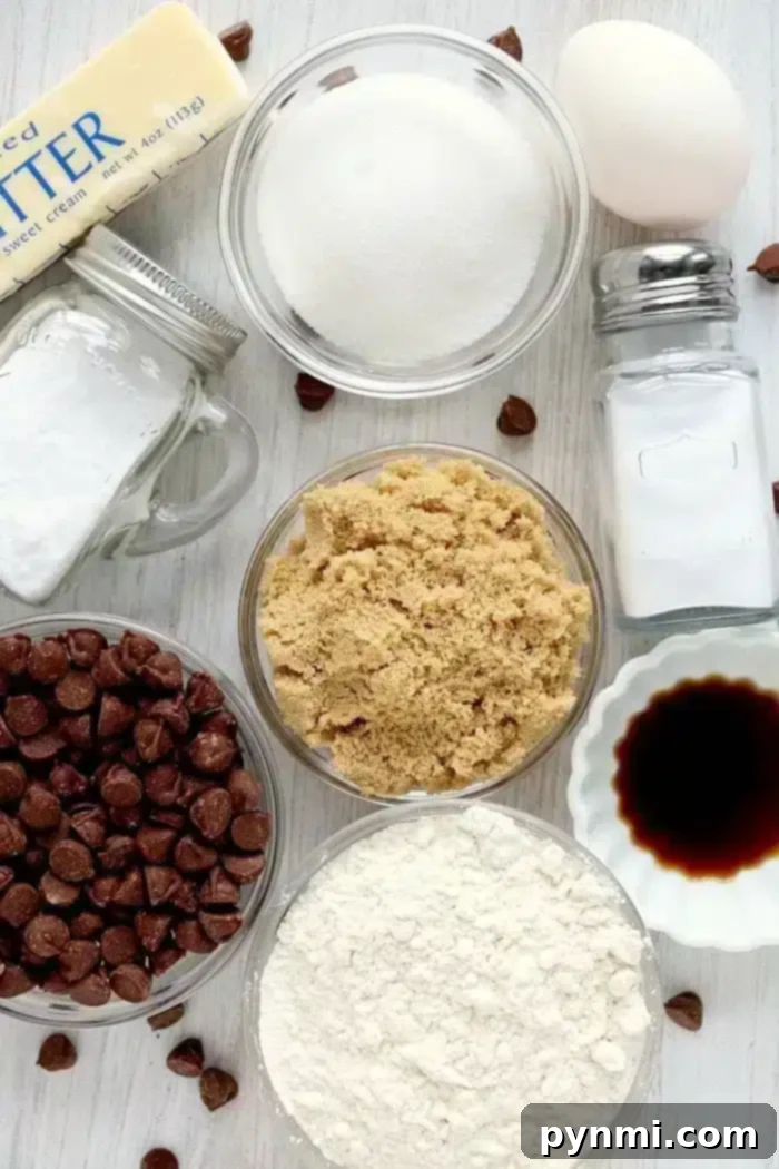 Air Fried Chocolate Chip Perfection 4 Essential ingredients for homemade air fryer chocolate chip cookies are neatly arranged: a golden stick of butter, a jar of granulated sugar, rich brown sugar in a bowl, all-purpose flour, a vibrant egg, glistening chocolate chips, a shaker of salt, a bottle of vanilla extract, and a container of baking soda.