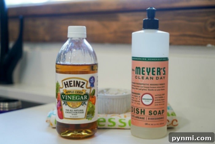 Natural gnat repellent setup