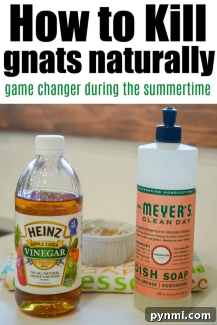 Ingredients for natural gnat killer