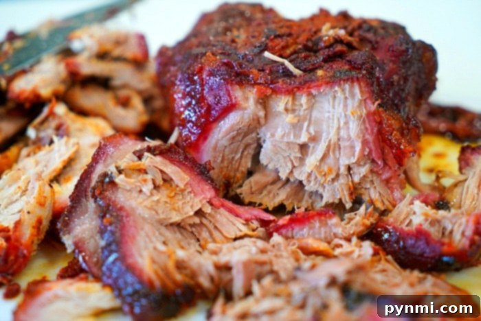 Pitmaster's Pulled Pork 10 pulled pork
