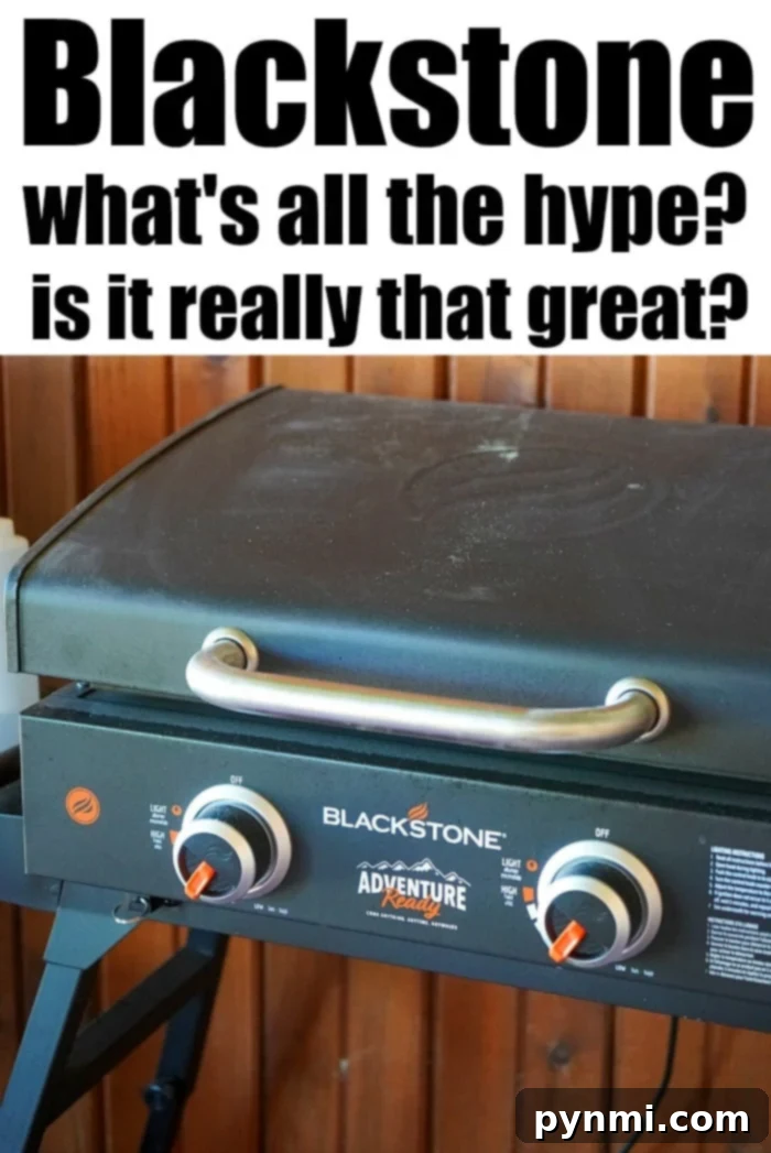 blackstone 22 inch griddle in use outdoors, cooking a meal.
