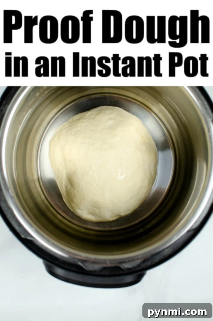 Fluffy Dough Every Time: Your Proofing Guide 2 Dough ball inside an Instant Pot, ready for proofing, with text reading How to Proof Dough in an Instant Pot above, highlighting convenience and efficiency.