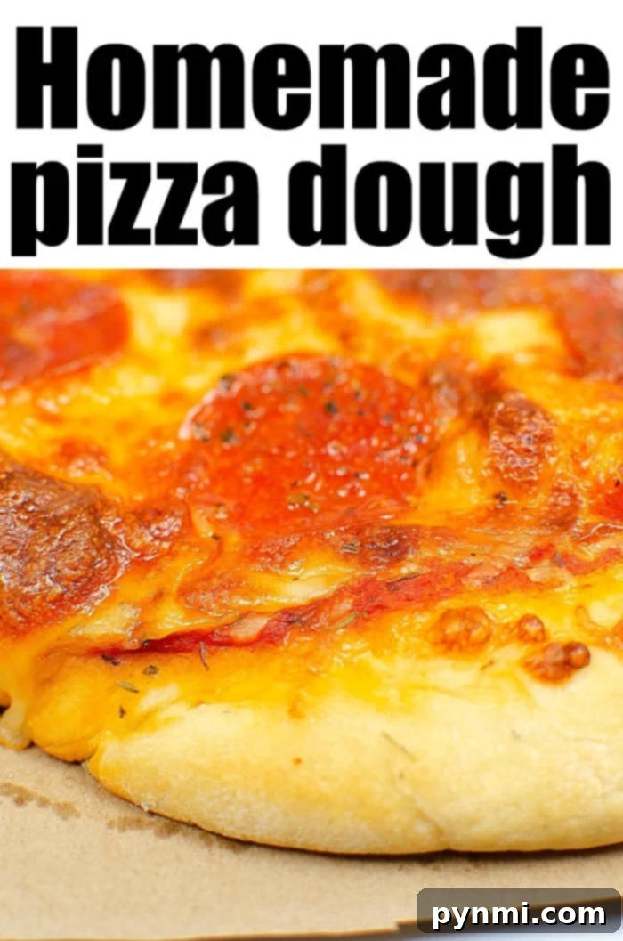 Fluffy Dough Every Time: Your Proofing Guide 6 A close-up of fresh homemade pizza dough, beautifully risen and textured, demonstrating the quality achieved with Instant Pot proofing.