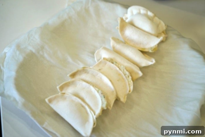 Air Fryer Frozen Potstickers: Golden Crisp Delights 5 Close-up of frozen potstickers being arranged on a plate with wet paper towels, preparing them for the crucial microwave defrosting step.