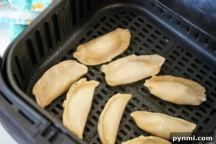 Air Fryer Frozen Potstickers: Golden Crisp Delights 7 Crispy air fryer potstickers in a basket, showcasing their perfectly browned and inviting texture.