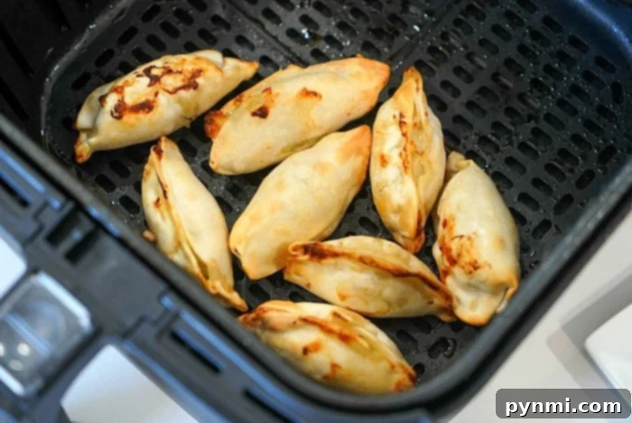 Air Fryer Frozen Potstickers: Golden Crisp Delights 9 Ninja Foodi potstickers in the air fryer basket, perfectly cooked and ready to serve.