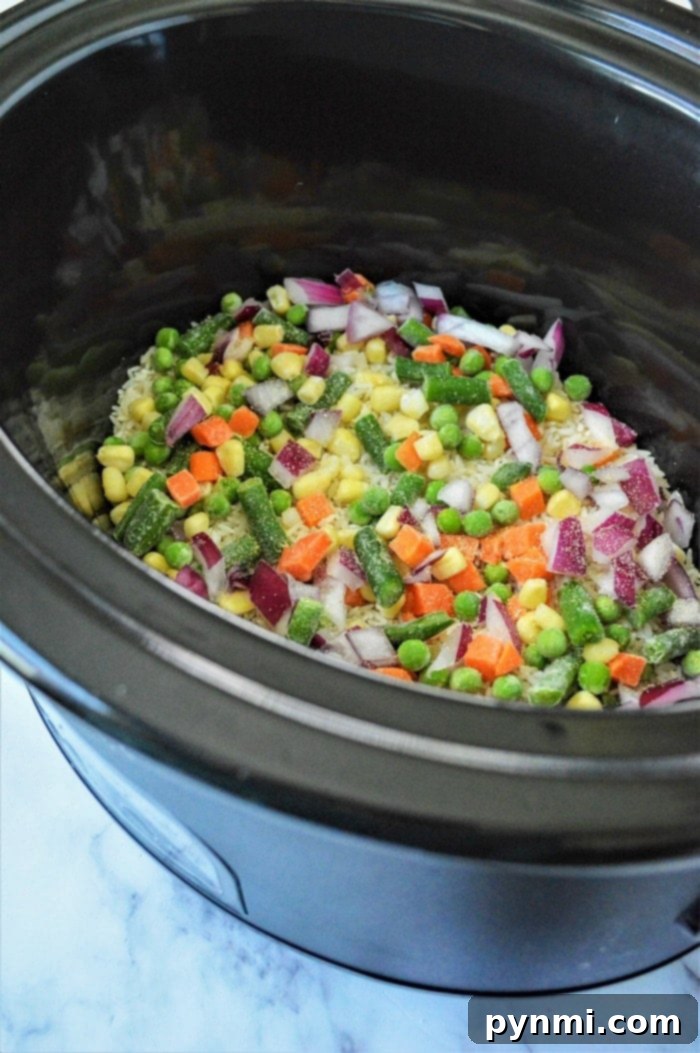 crockpot chicken vegetable rice