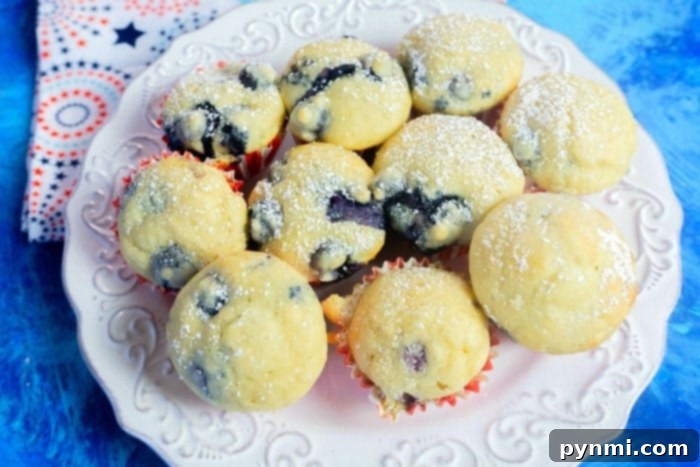 Pancake Mix Muffin Magic 7 Plate of easy blueberry muffins