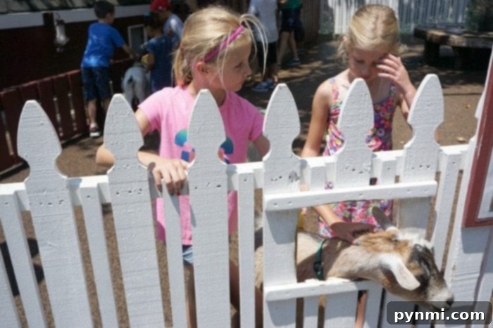 Adventure City in Anaheim is a great amusement park for kids with rides, shows and a petting zoo. Reasonably priced tickets with lots to offer young kids! Family enjoying a show at Adventure City