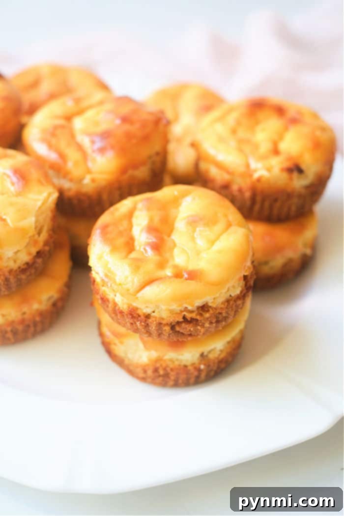 Muffin Tin Cheesecakes 6 muffin tin cheesecakes