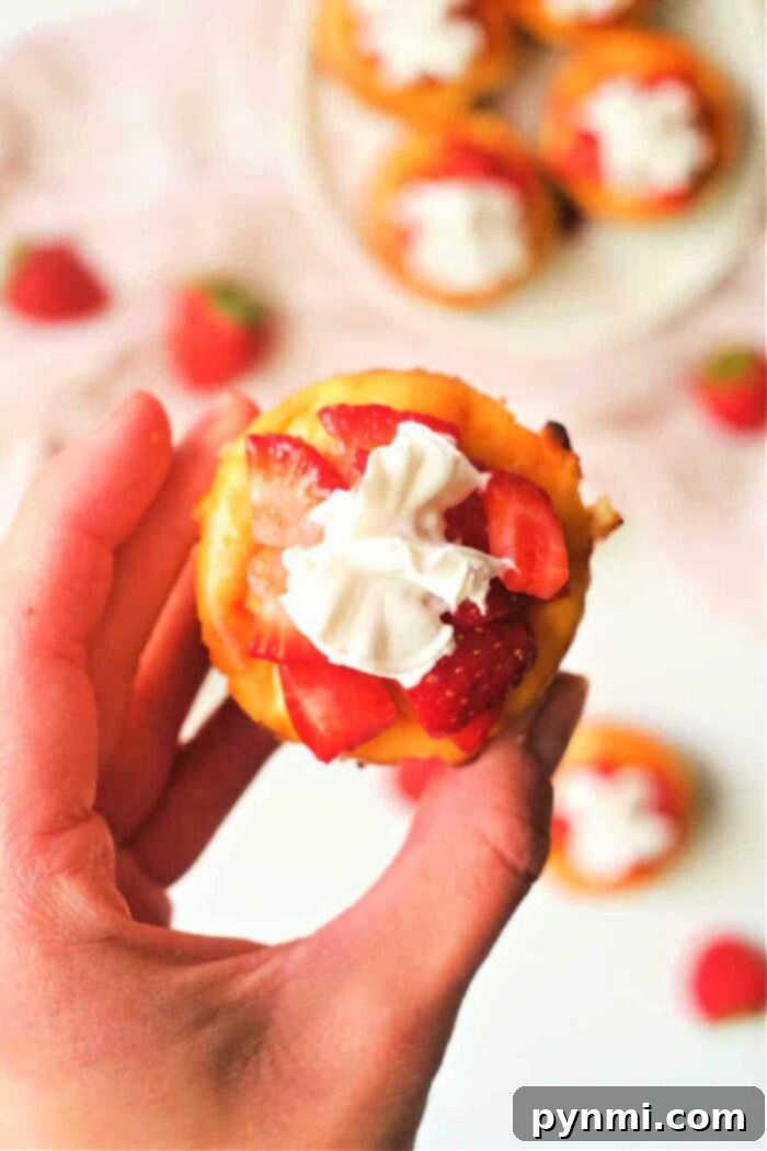 Muffin Tin Cheesecakes 8 How to Make Cheesecake in a Muffin Tin