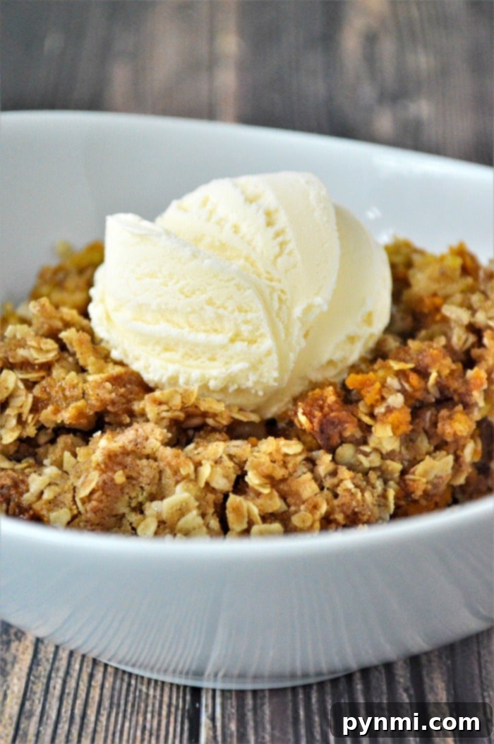 Rustic Spiced Pumpkin Crisp 6 Close-up of baked pumpkin crisp, highlighting its crunchy topping and soft, spiced filling, inviting a taste.