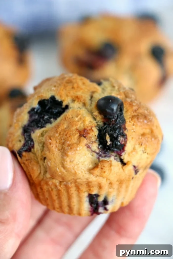 Delicious muffins baked to perfection in an air fryer, ready for breakfast or dessert.