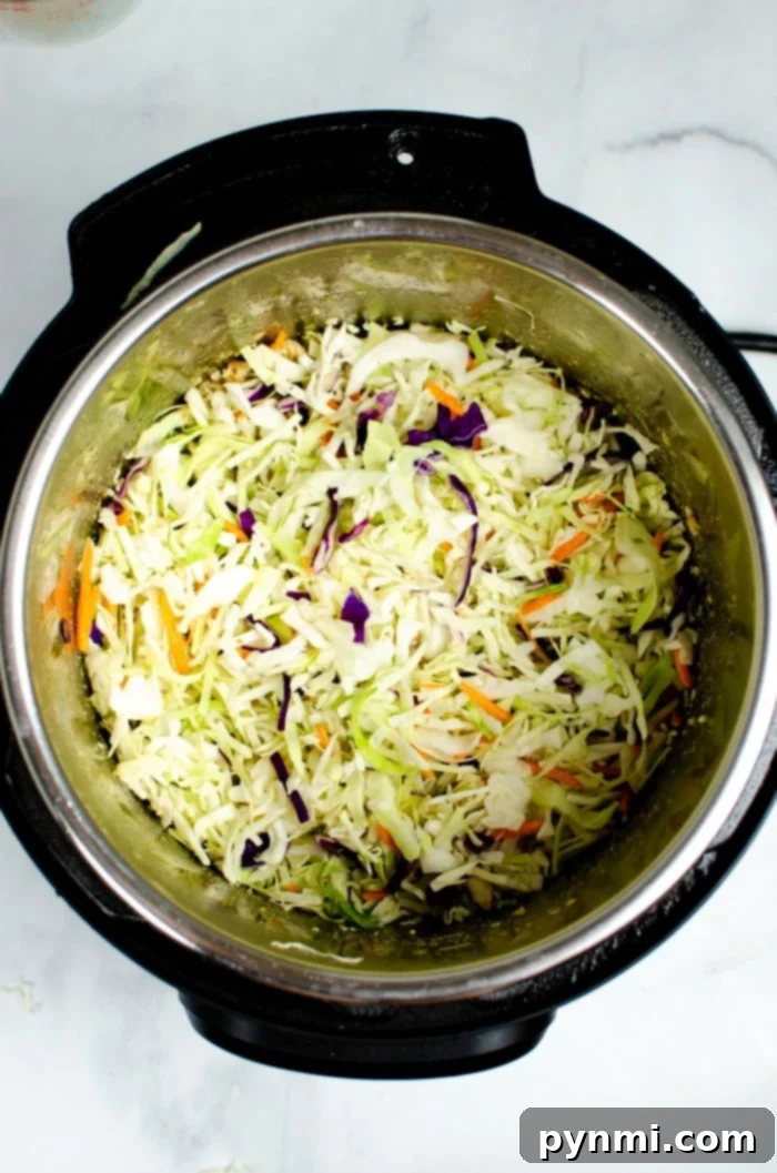 Speedy Instant Pot Egg Roll Bowls 3 A close-up shot of a steaming Instant Pot Egg Roll in a Bowl, showing the mix of ground meat, shredded cabbage, and carrots, ready to be served.