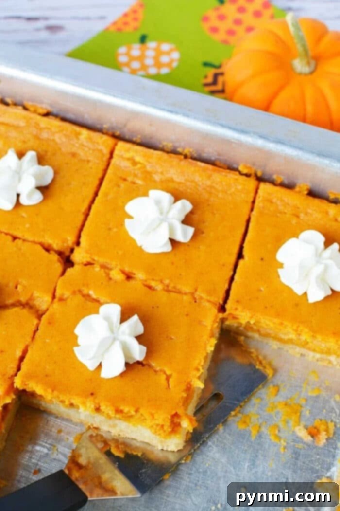 Delicious Pumpkin Pie Sheet Cake, a perfect Fall dessert for parties.