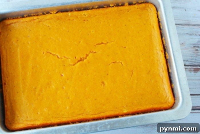 Perfectly blended pumpkin pie filling mixture, ready for baking.