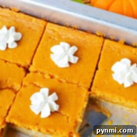 Pumpkin pie sheet cake bars with dollops of whipped cream on a tray, and a small pumpkin in the background.