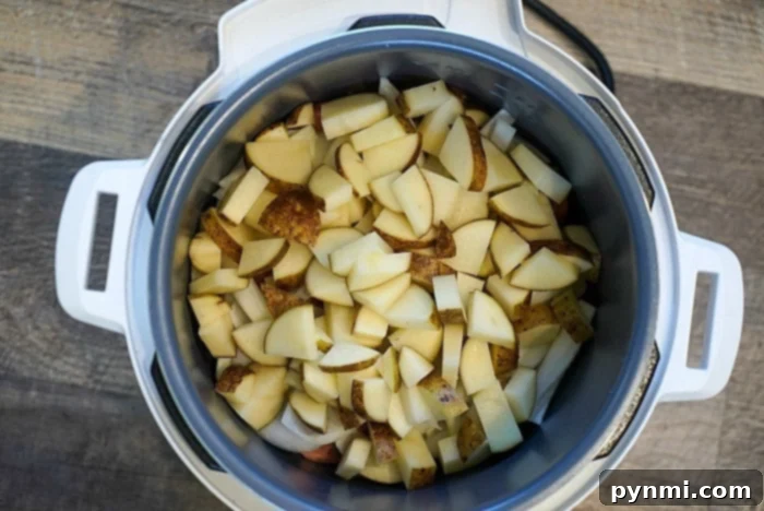 Zesty Mountain Dew Instant Pot Stew 6 sausage stew