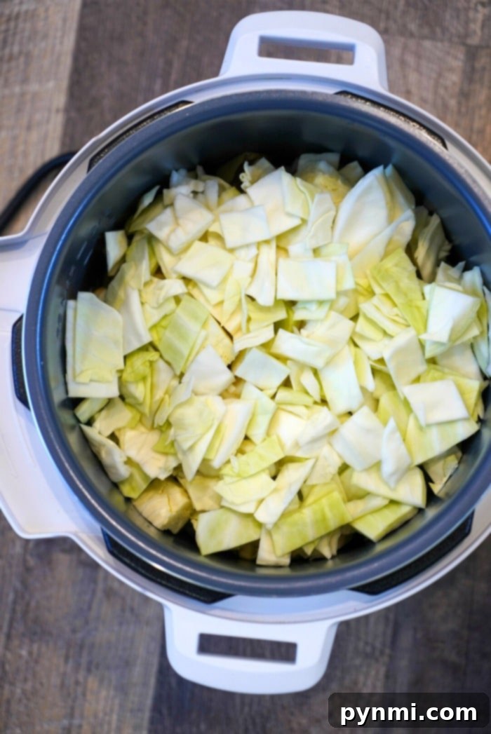 Zesty Mountain Dew Instant Pot Stew 9 instant pot cabbage recipe