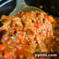 Close-up of a ladle holding shredded beef spaghetti sauce over a slow cooker, perfect for transforming into a rich spaghetti sauce using leftover beef.