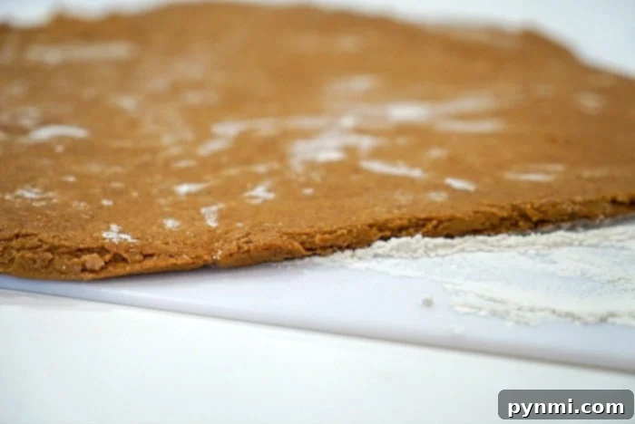 A sheet of rolled-out gingerbread cookie dough rests on a lightly floured surface, marked with impressions from gingerbread cutters, ready for baking.