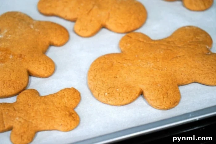 A delicious display of freshly baked gingerbread cookies, expertly crafted from a simple cake mix, showcasing their rich color and festive appearance.