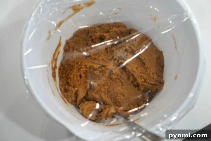 Cake Mix Hack for Air Fryer Gingerbread Cookies 5 Close-up of freshly mixed gingerbread cookie dough in a large bowl, ready for chilling.