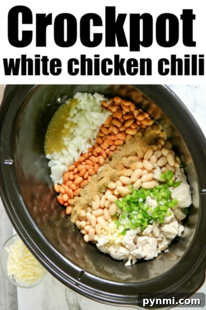 Creamy Crockpot White Chicken Chili 5 A bowl of creamy white chicken chili with a spoonful of sour cream and shredded cheese on top.
