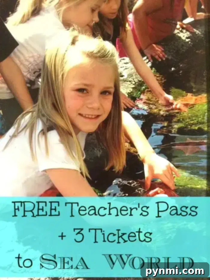 Free teacher pass to SeaWorld San Diego - A comprehensive guide for educators in California and Arizona to enjoy marine life and rides.
