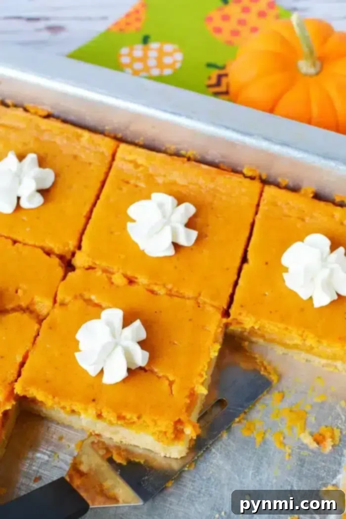 Effortless Half Sheet Cake Perfection 7 A baking tray contains square pumpkin pie slices, each topped with a dollop of whipped cream. One slice is partially removed with a spatula placed underneath it, almost like cutting into a 1/2 sheet cake.