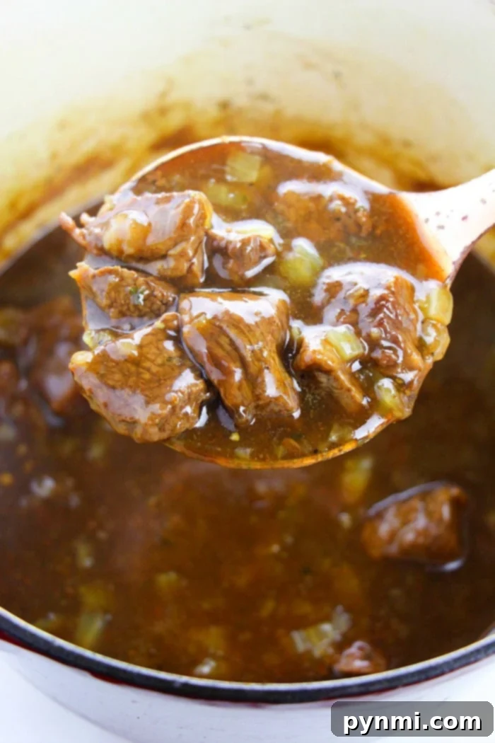 Learning how to cook beef tips, hovers over a pot of rich broth.