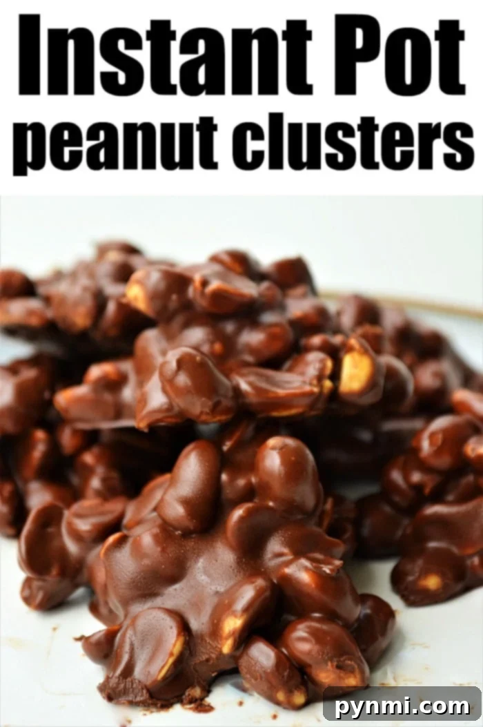 Crunchy Peanut Delights 2 Irresistible Instant Pot Peanut Clusters arranged beautifully on a plate