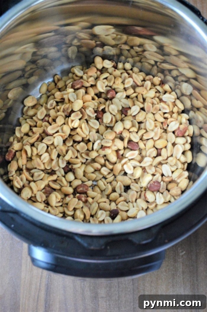 Crunchy Peanut Delights 4 Various kitchen equipment laid out, including an Instant Pot, for making peanut clusters