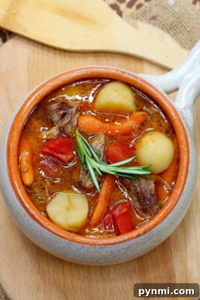 Instant Pot Stew Meat with vegetables and gravy