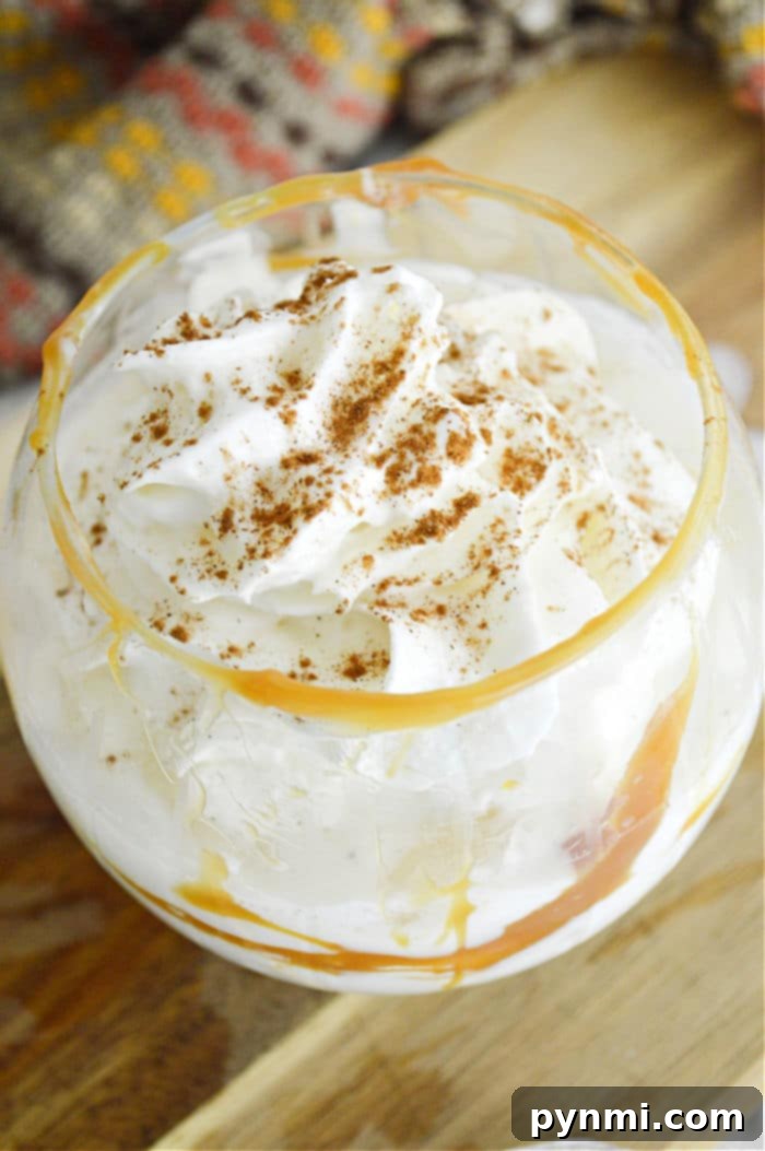 Easy 3-Ingredient Pumpkin Cocktail 2 Delightful Pumpkin Cocktail with Whipped Cream and Cinnamon