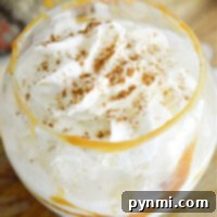 Easy 3-Ingredient Pumpkin Cocktail 7 pumpkin cocktail