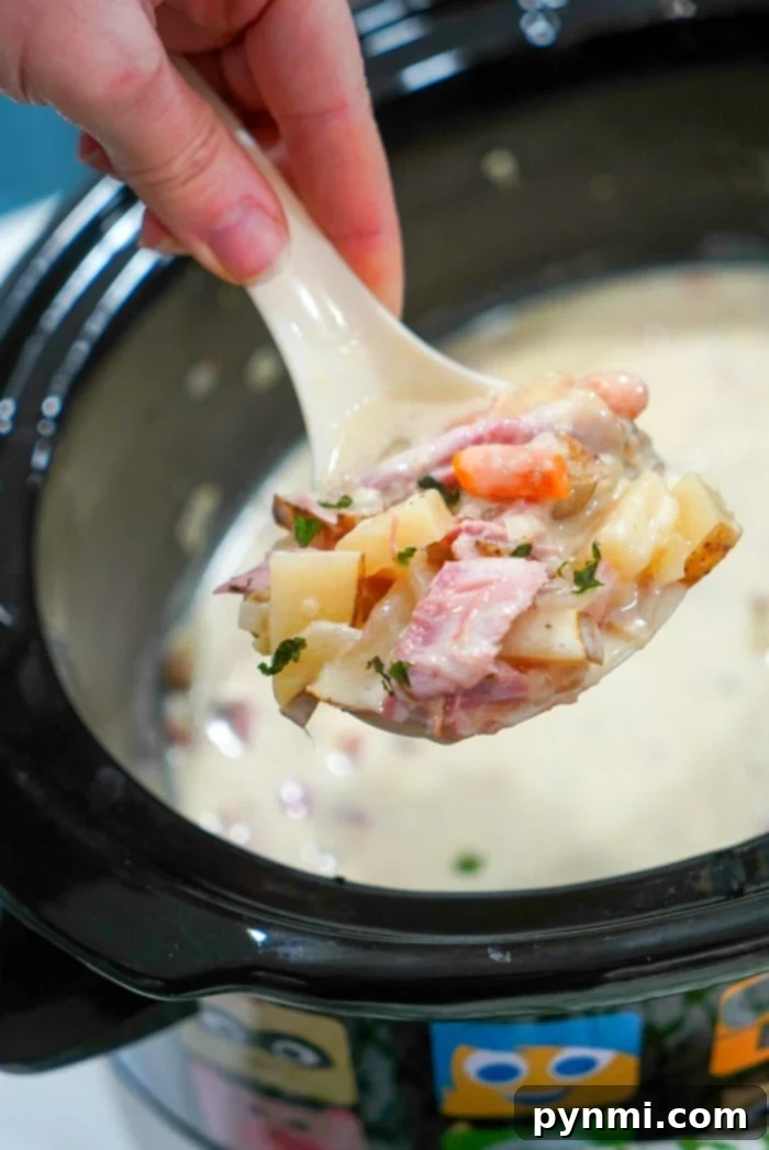 Hearty Slow Cooker Ham and Potato Soup 9 Overhead shot of slow cooker potato ham soup, ready to be served