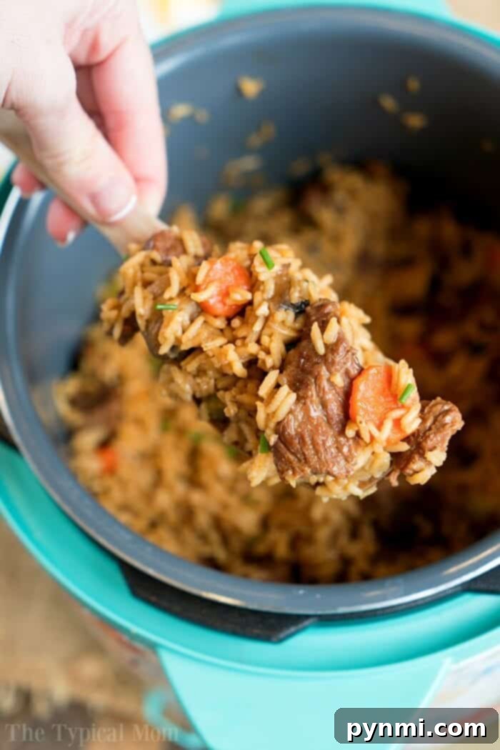 Simple Suppers with Beef Stew Meat 5 A hand holding a spoonful of tender beef stew meat and fluffy rice, showcasing a creative alternative to traditional stew.