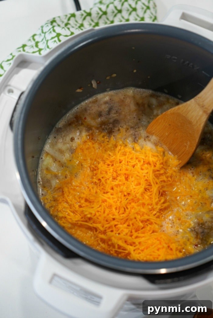 Instant Pot Pub Cheese Perfection 6 pressure cooker beer cheese soup