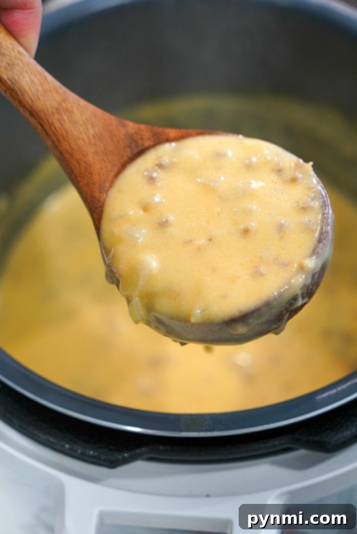 Instant Pot Pub Cheese Perfection 7 instant pot beer cheese soup