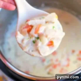 A spoonful of creamy chicken pot pie soup with vegetables held over an Instant Pot.