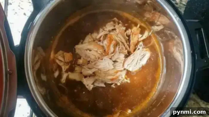 Instant Pot Turkey Tenderloin with Gravy - A delicious serving of turkey tenderloin slices topped with generous gravy.