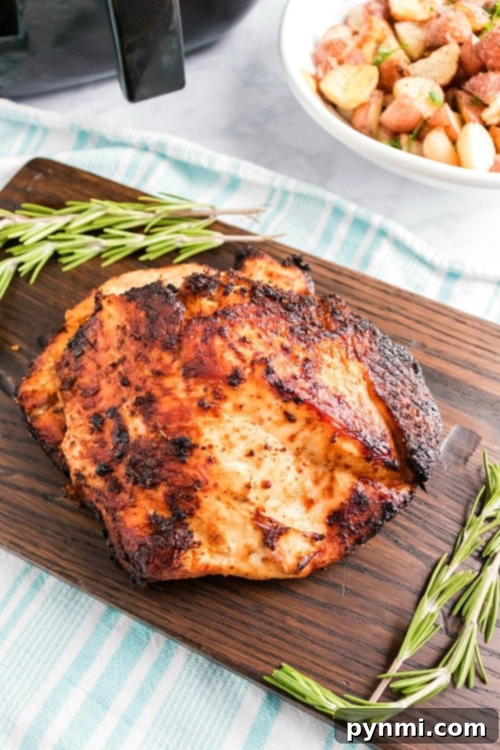 air fryer turkey breast