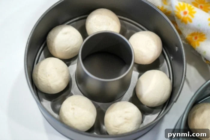 Perfectly Crispy Air Fryer Frozen Rolls 4 Perfectly risen, fluffy dough balls in a round pan, ready for baking in the air fryer.