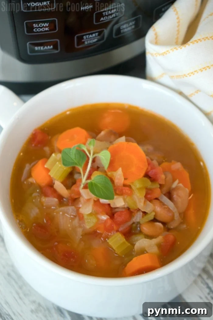 Pressure Cooker Pinto Bean Perfection 3 Close-up of Crockpot Express Pinto Bean Soup with vegetables