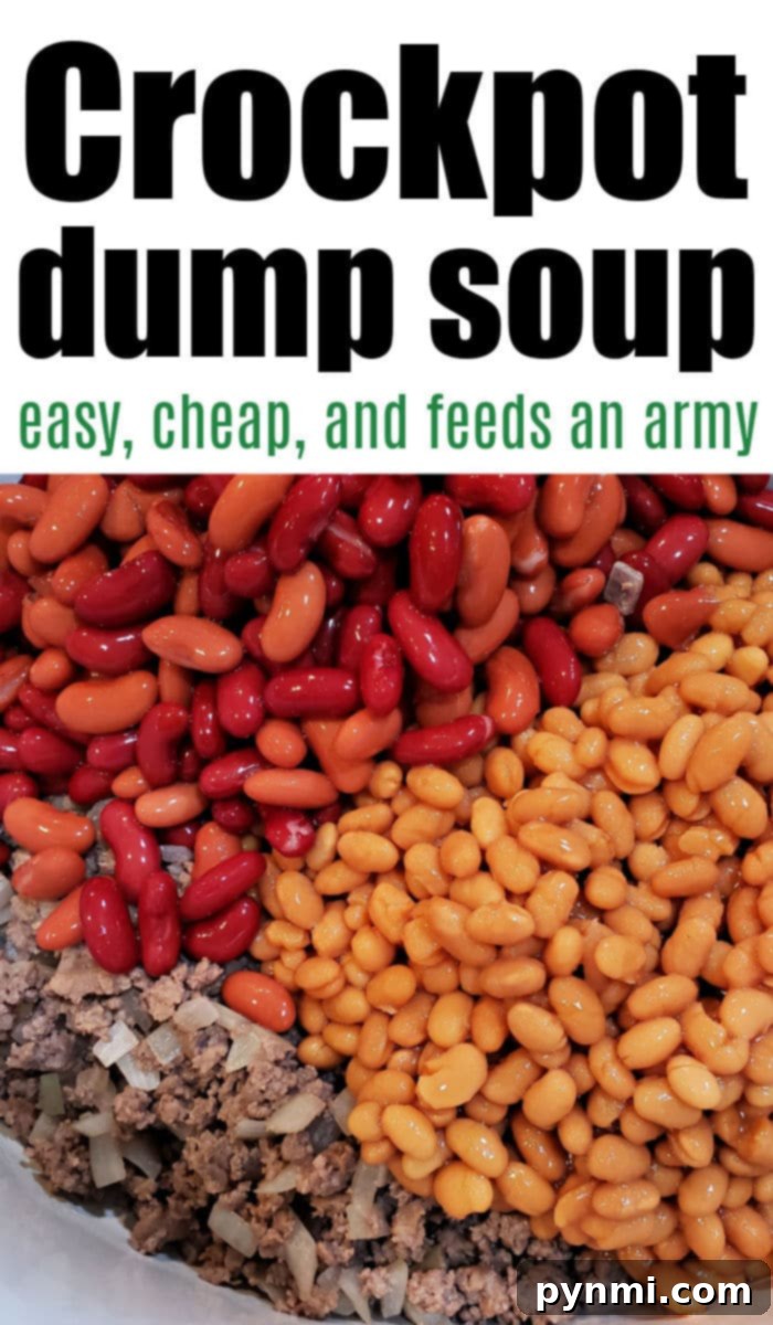 Simple Crockpot Comfort Soups 2 easy crockpot soup
