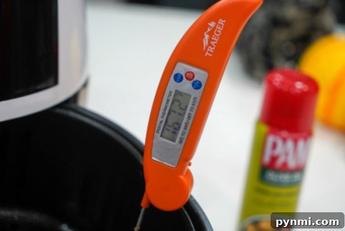 Safe internal meat temperature guide